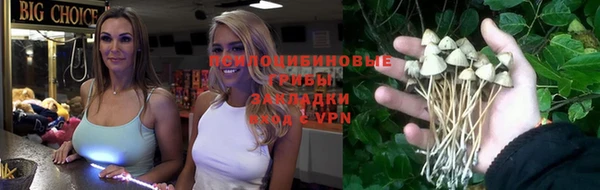 дживик Алзамай