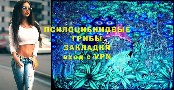 дживик Алзамай
