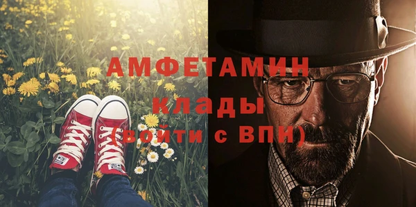 мет Алексин