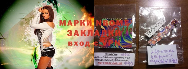 мет Алексин