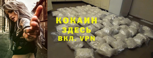 мет Алексин