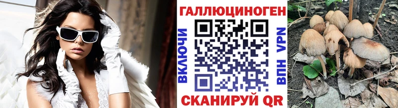 Галлюциногенные грибы GOLDEN TEACHER  Сунжа 